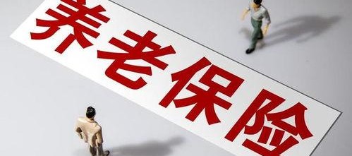 国产毛片久久久久久国产毛片,历史与现状的交织