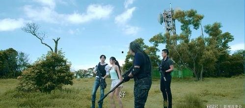 国产鸡情,探寻我国鸡肉产业的崛起之路